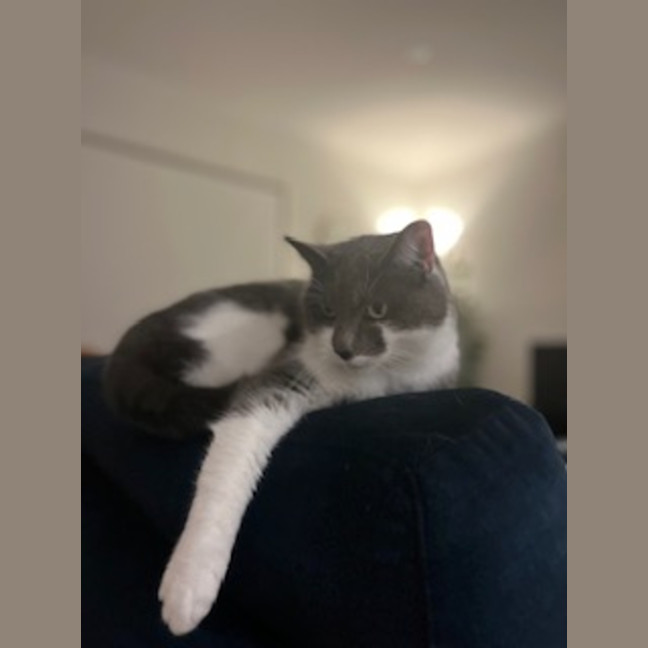 Photo of Sassy Smokey Calls The Shots