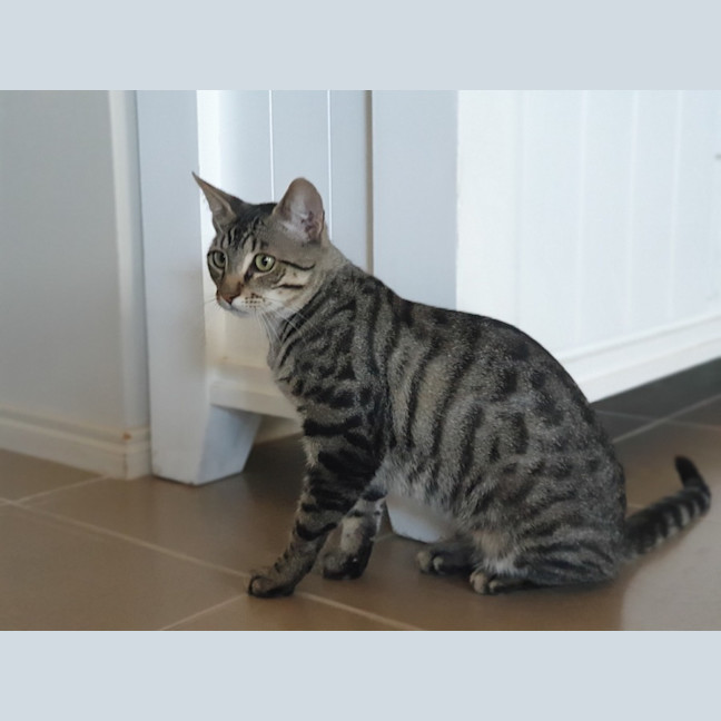 Photo of Willy Moriarty