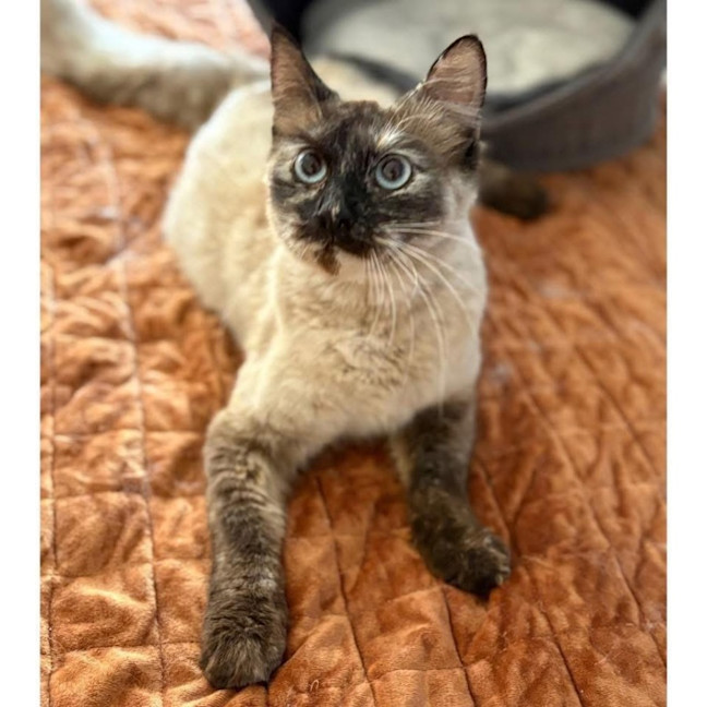 Photo of 12925   Winter