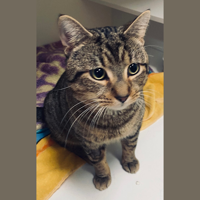 Photo of Dudley