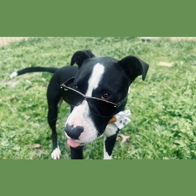 Photo of Jack