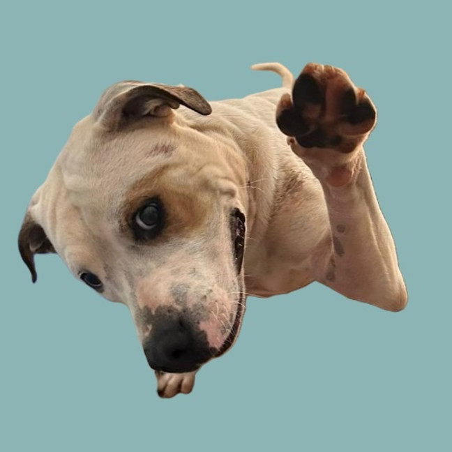 Photo of Happy