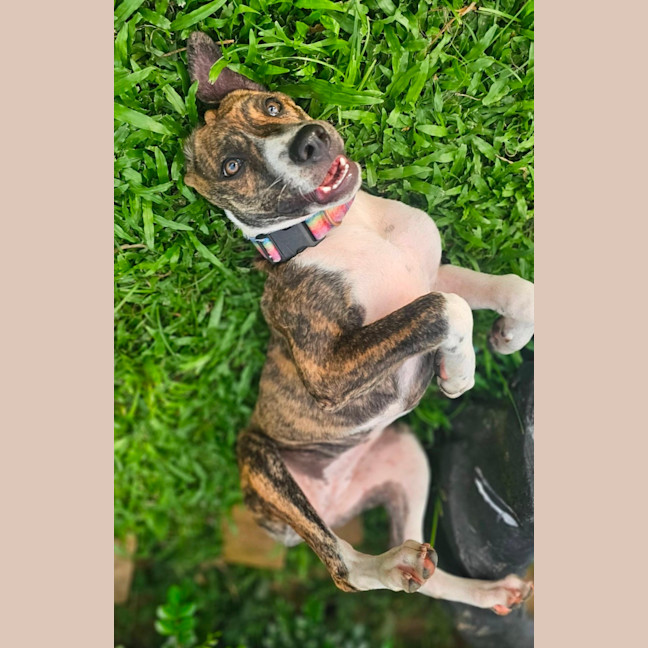 Photo of Catia