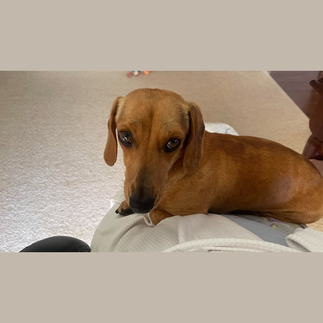 Photo of Roxy