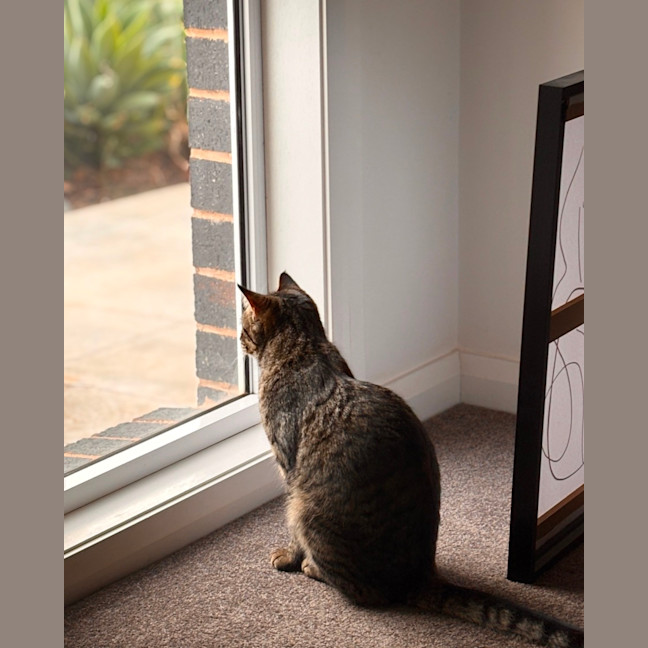 Photo of Evie 