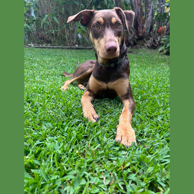 Photo of Spike