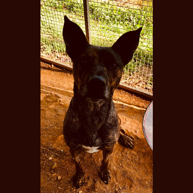 Photo of Missy