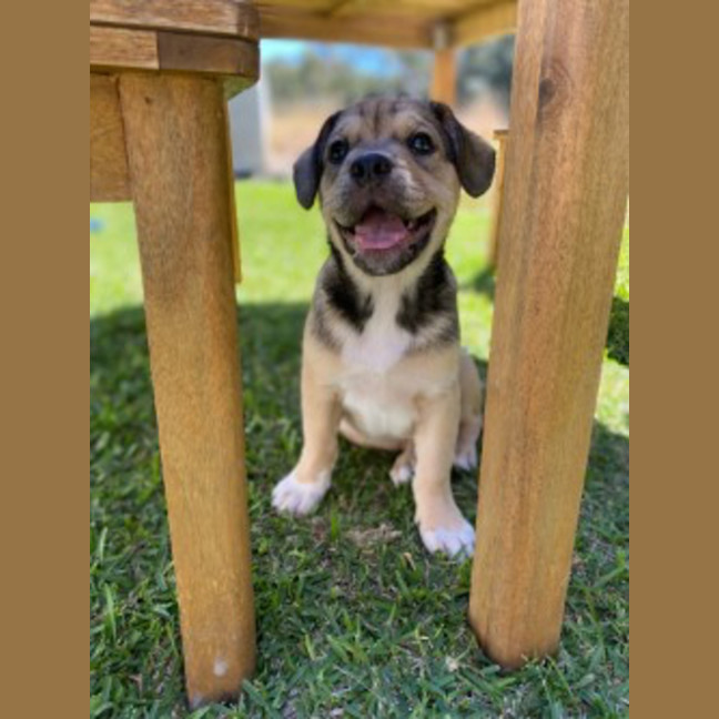 Photo of Spud