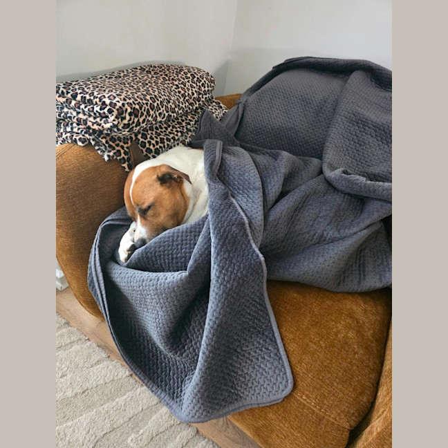 Photo of Flint