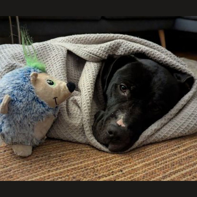 Photo of Zeus