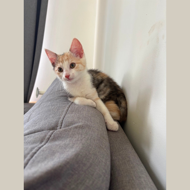 Photo of 🧙 Hermione