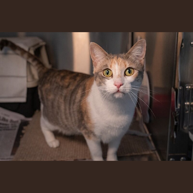 Photo of Lucy