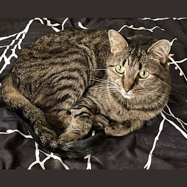 Photo of Abby