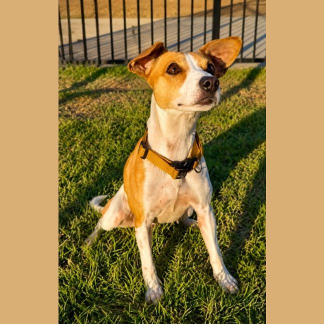 Photo of Bailee