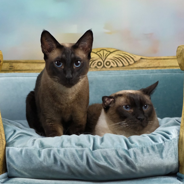 Photo of Skadi And Freya