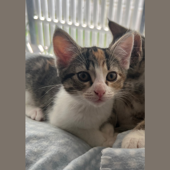 Photo of Kiki   Penelope