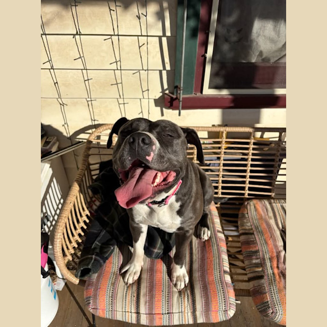 Photo of Mahlee