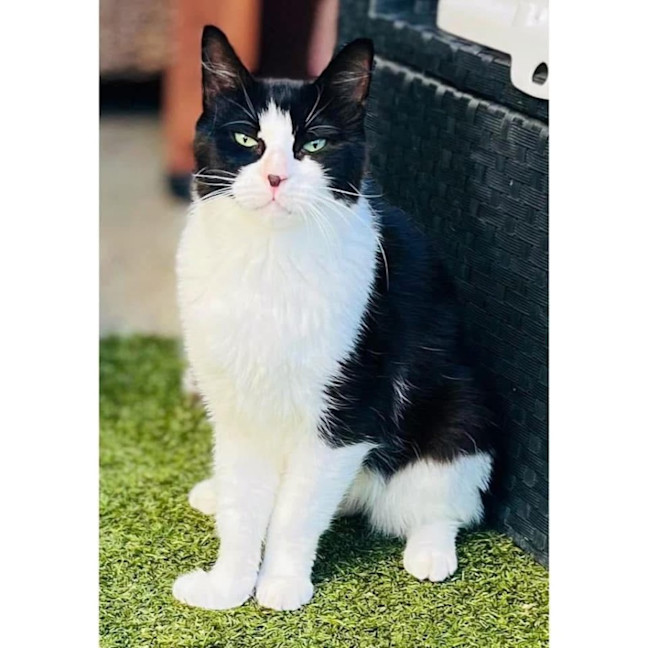 Photo of 3877   Hiei