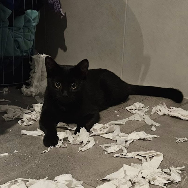 Photo of Halle Berry