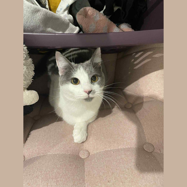 Photo of Bonnie