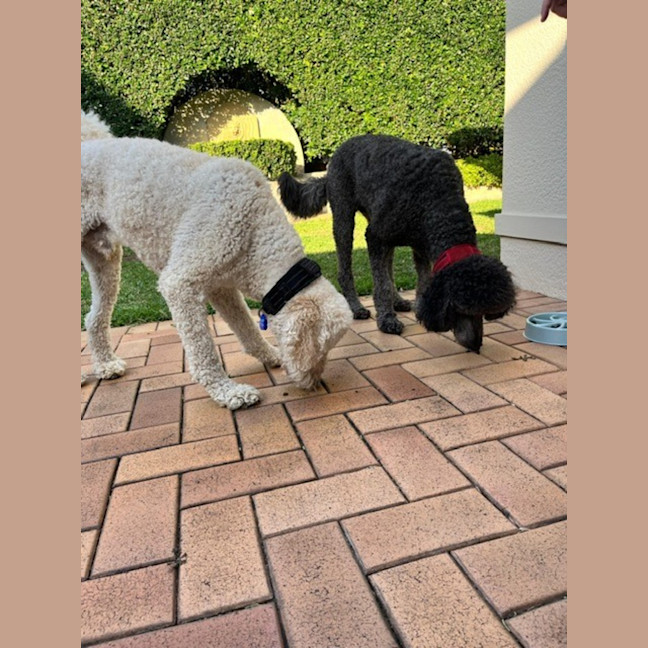 Photo of George And Bobby