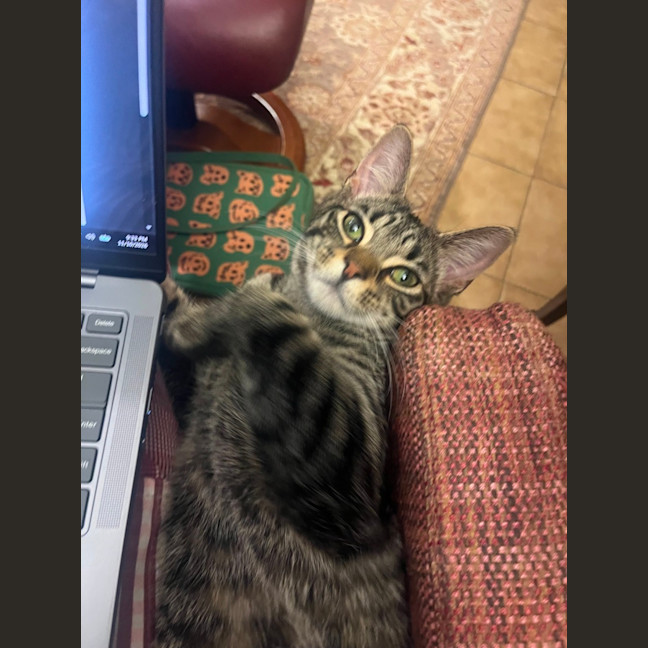 Photo of Frankie