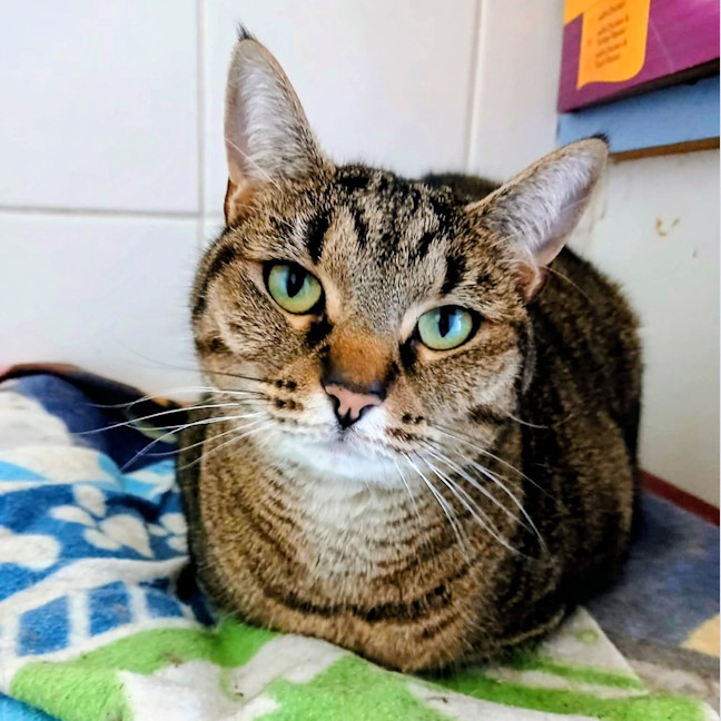 Photo of Missy