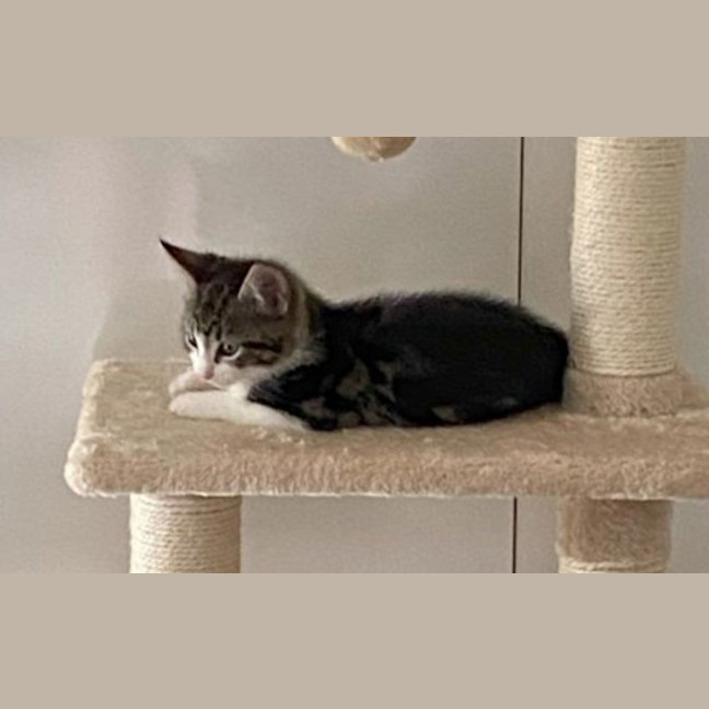 Photo of Morgana