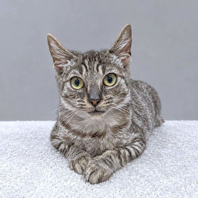 Photo of Monty