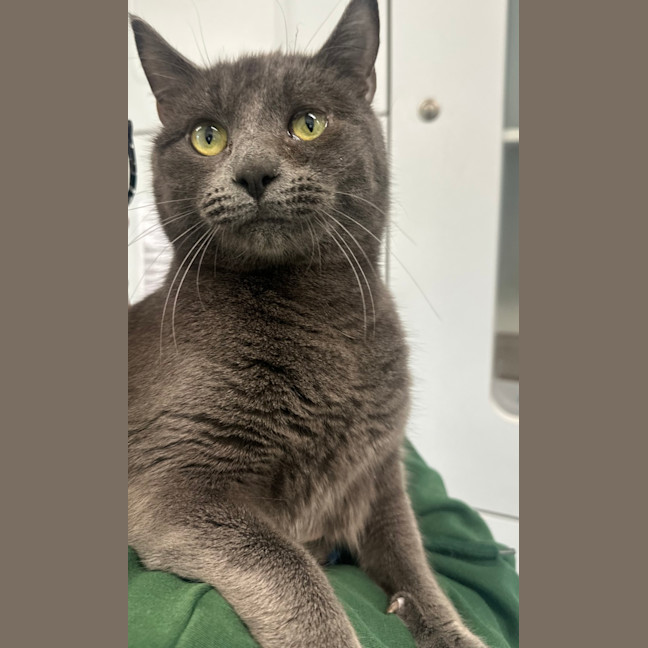 Photo of Trevor