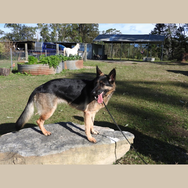 Photo of Bessy