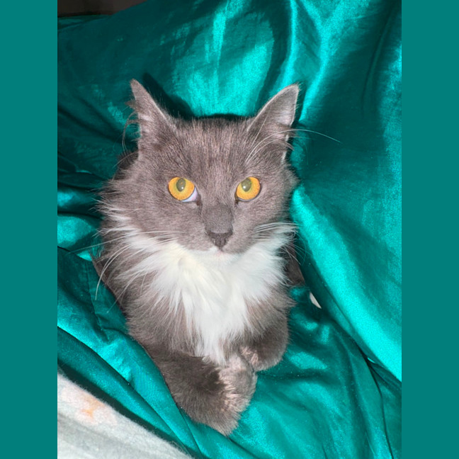 Photo of Evie