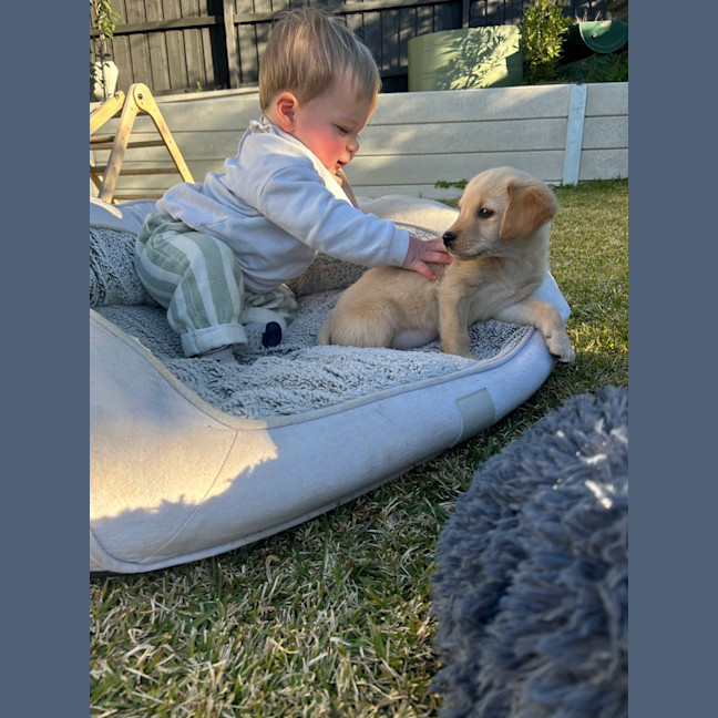 Photo of Maple Woods