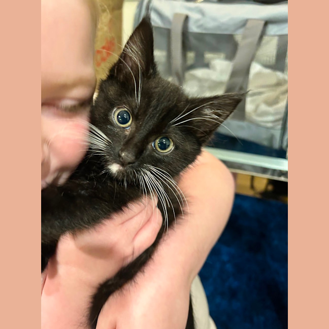 Photo of Wiggle