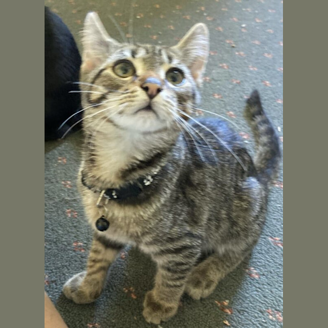 Photo of Bobby