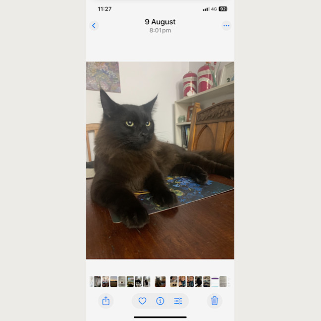 Photo of Puff