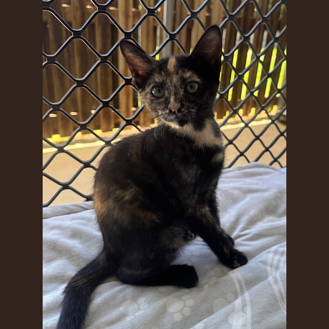 Photo of Freya