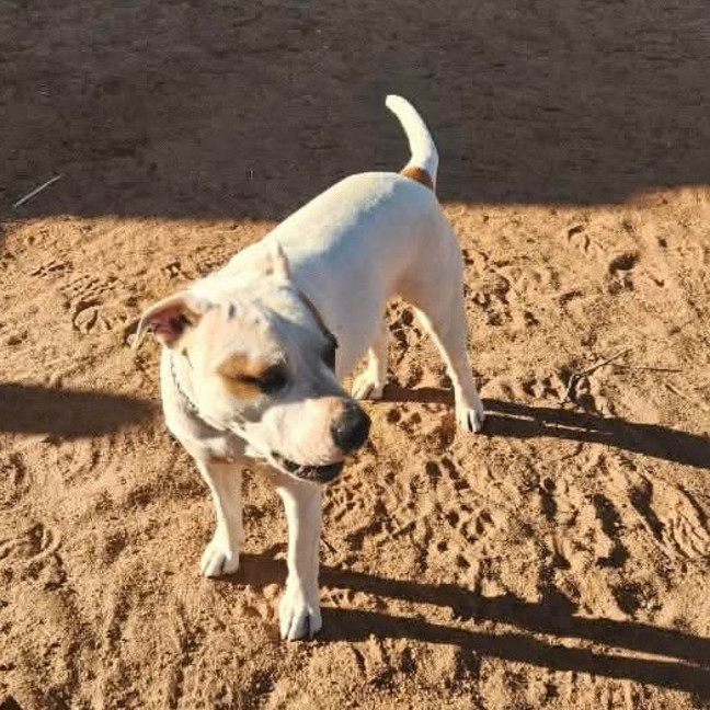 Photo of Missie