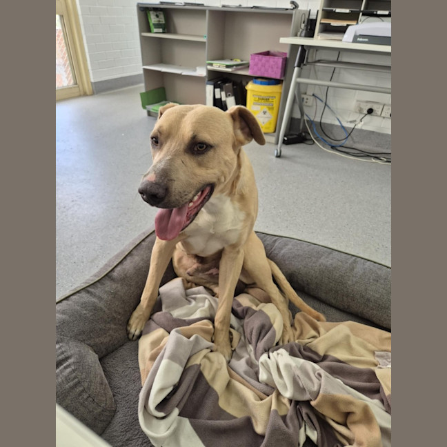 Photo of Mike! 🛋️🦎