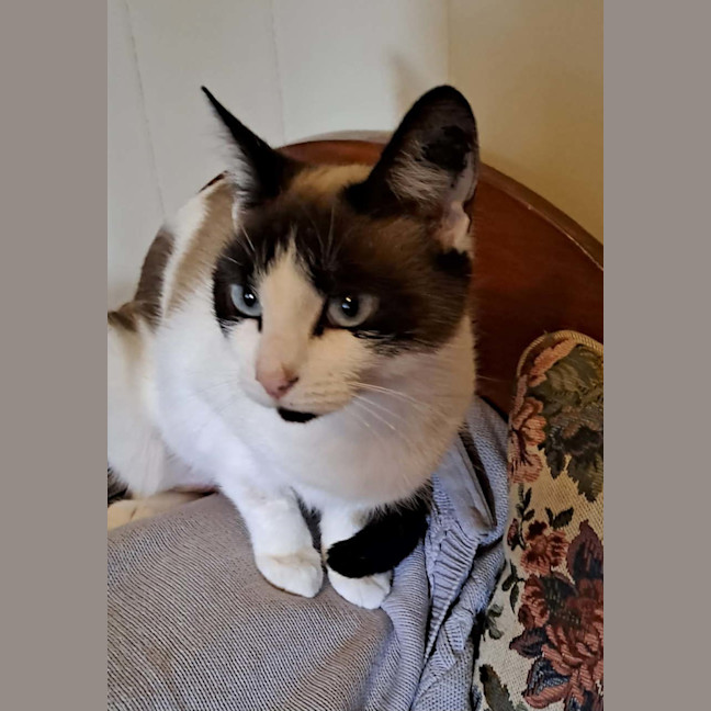 Photo of Ivy