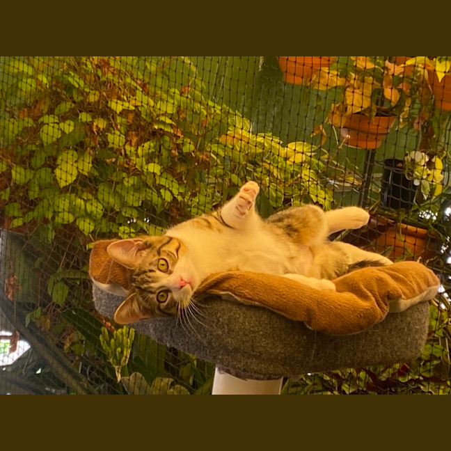 Photo of Tammy
