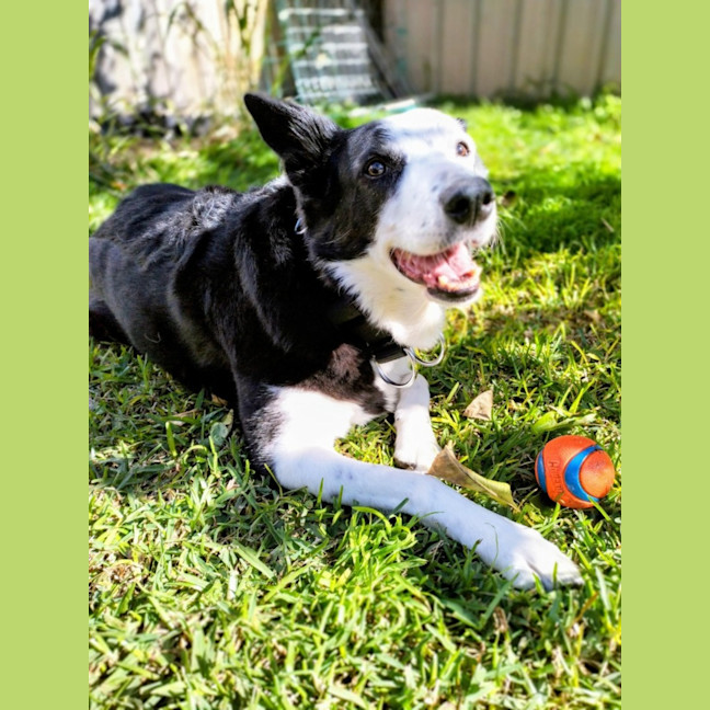 Photo of Izzy