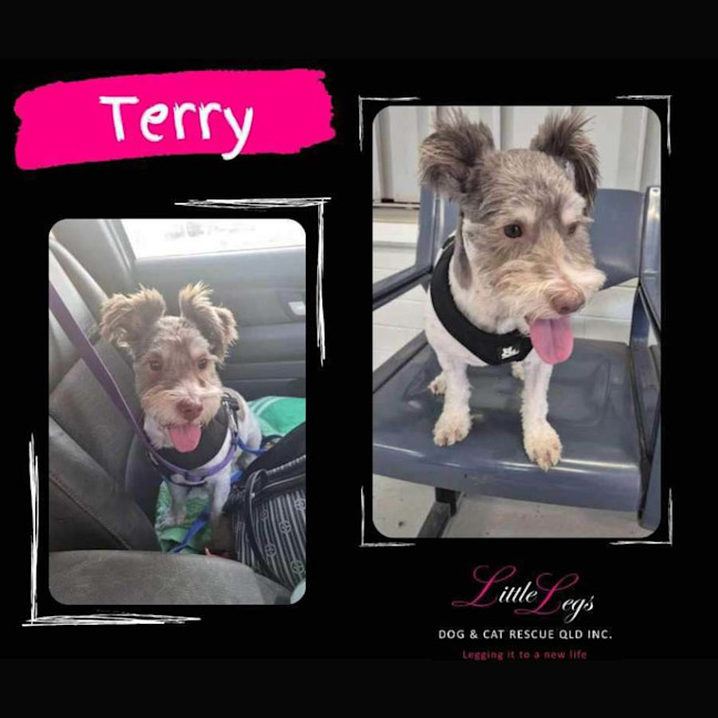 Photo of Terry 