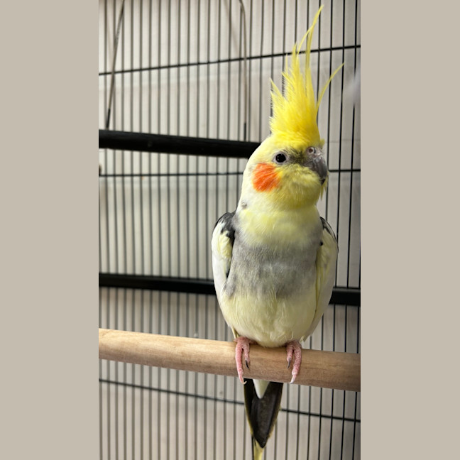 Photo of Diego