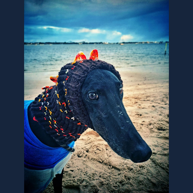 Photo of Joel