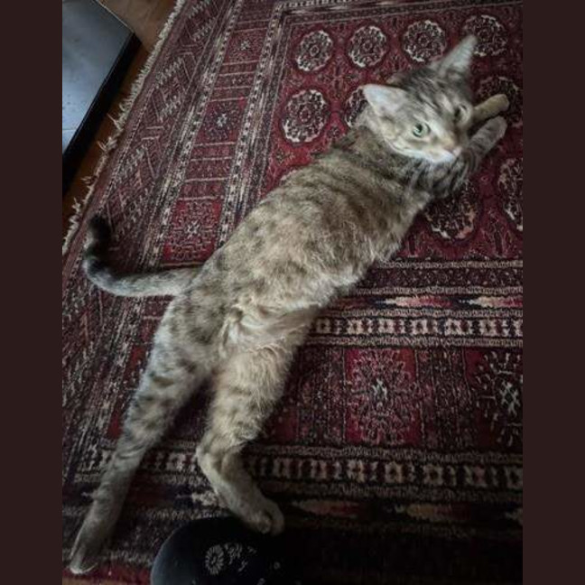 Photo of Angel