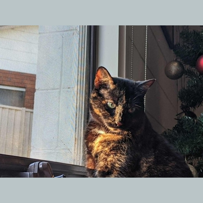 Photo of Freya