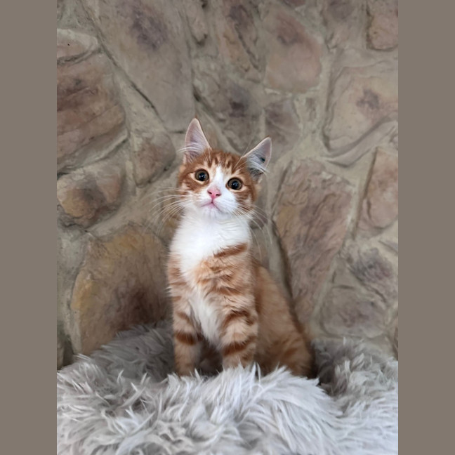 Photo of Pj