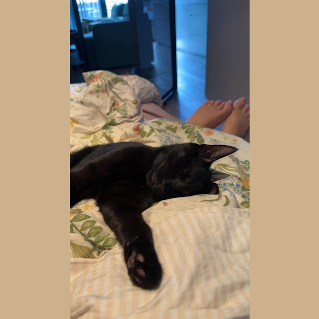 Photo of Phantom 