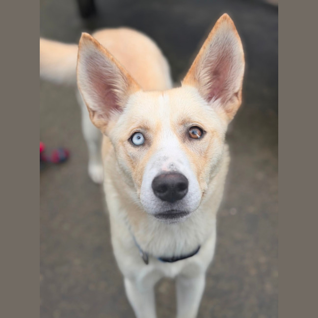 Photo of Sugar